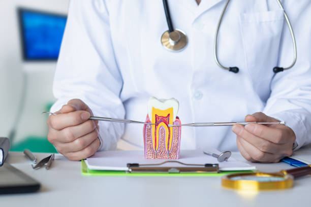 Emergency Dentist Open Today in NE